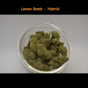 Lemon Bomb