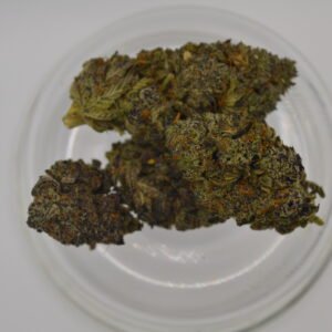White Truffle